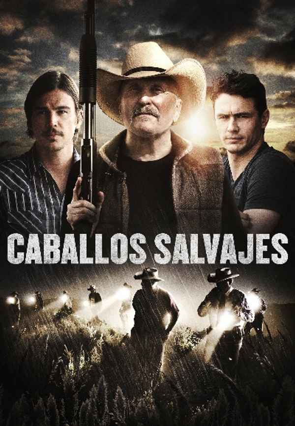 Wild Horses Poster 5