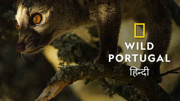 Wild Portugal Poster 7