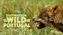 Wild Portugal Poster 3