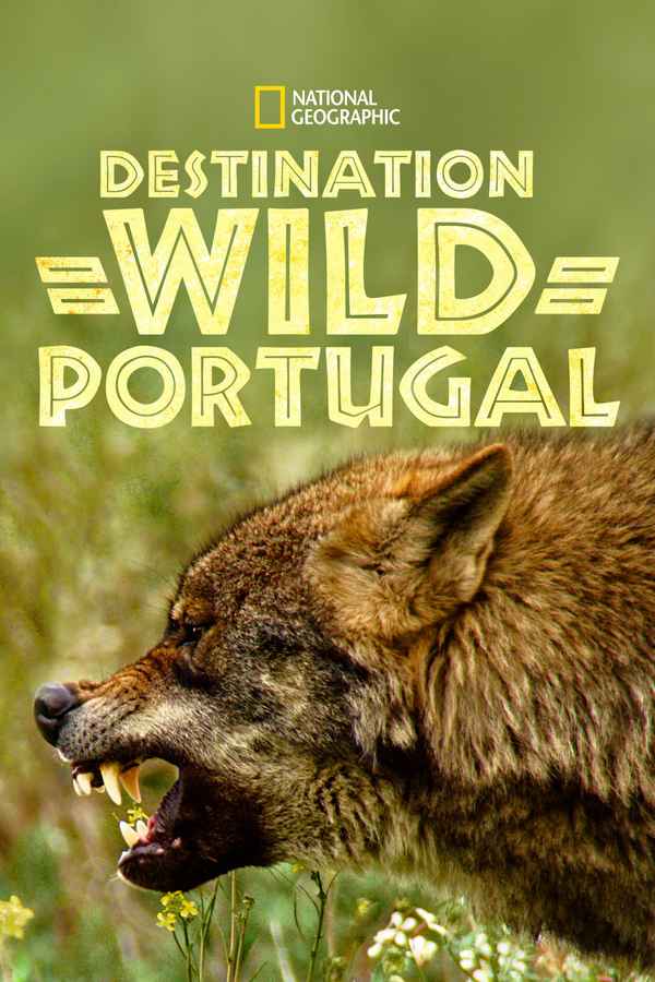 Wild Portugal Poster 4