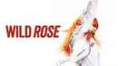 Wild Rose Poster 1