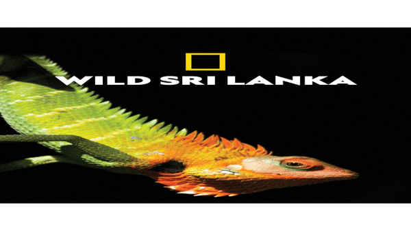 Wild Sri Lanka Poster 3
