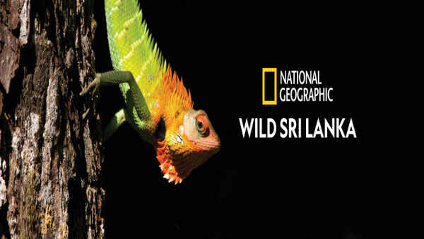 Wild Sri Lanka Poster 4