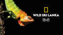 Wild Sri Lanka Poster 5