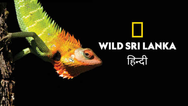 Wild Sri Lanka Poster 5