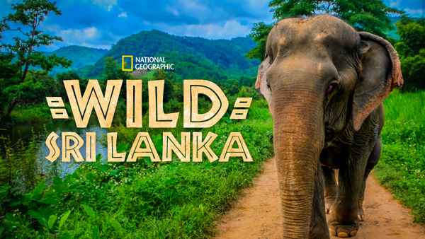 Wild Sri Lanka Poster 1