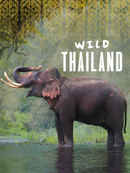 Wild Thailand Poster 3