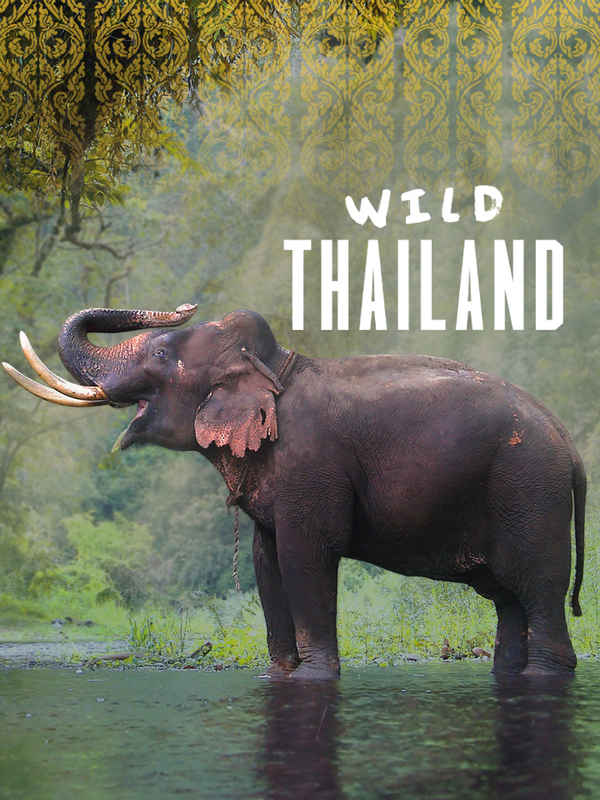 Wild Thailand Poster 3