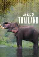 Wild Thailand Poster 4