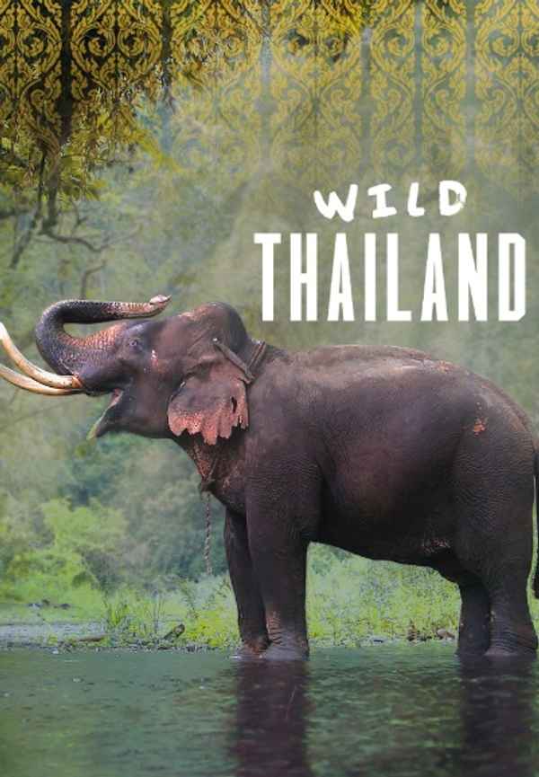 Wild Thailand Poster 4