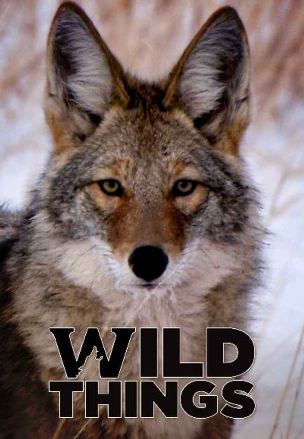 Wild Things Poster 5