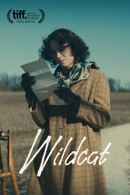 Wildcat Poster 3