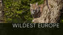 Wildest Europe Poster 3