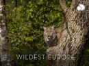 Wildest Europe Poster 6