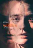 Wildfire Poster 4