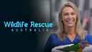 Wildlife Rescue Australia Poster 1