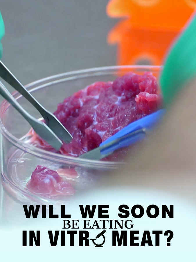 WILL WE SOON BE EATING IN VITRO MEAT?