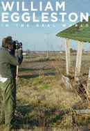 William Eggleston in the Real World Poster 2