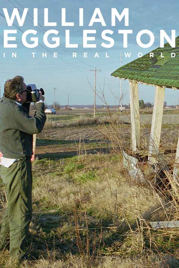 William Eggleston in the Real World Poster 1