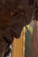 Windows of Imagination Poster 3