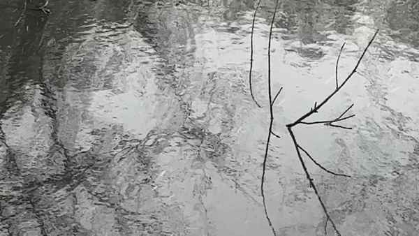 Windows of Imagination Poster 7