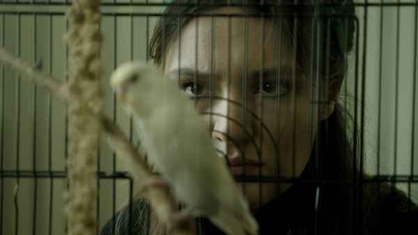 Winged and Imprint Dark Poster 1