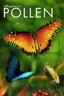 Wings Of Life Poster 3