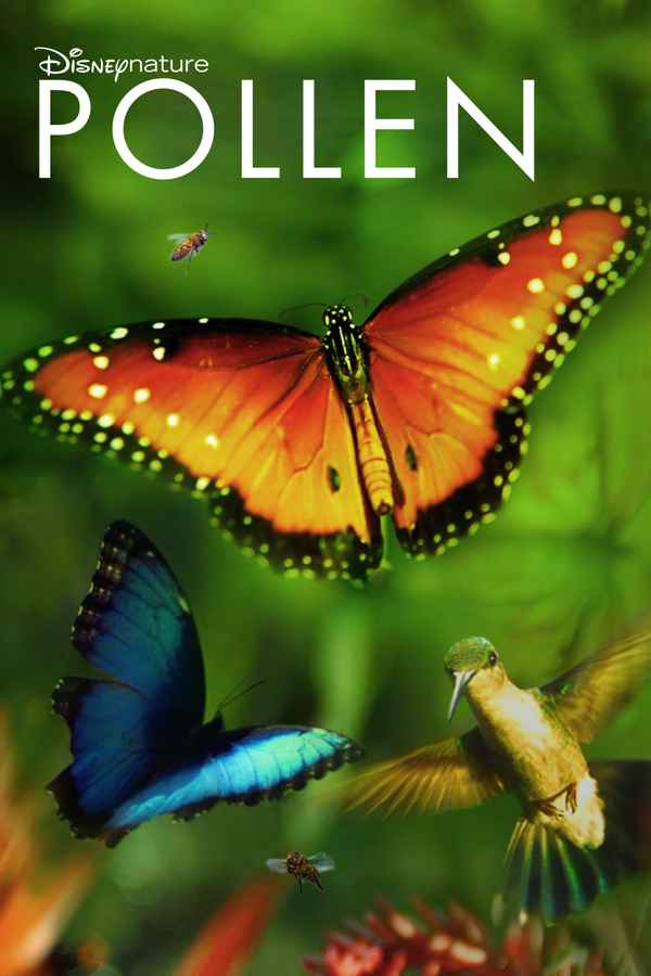 Wings Of Life Poster 3