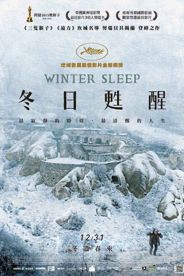 Winter Sleep Poster 3