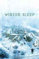 Winter Sleep Poster 1