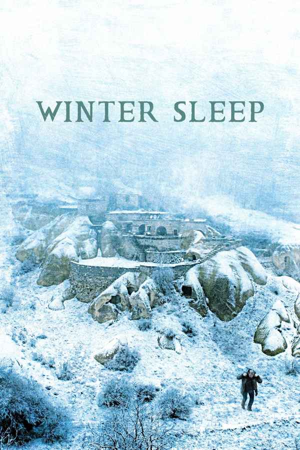 Winter Sleep Poster 1