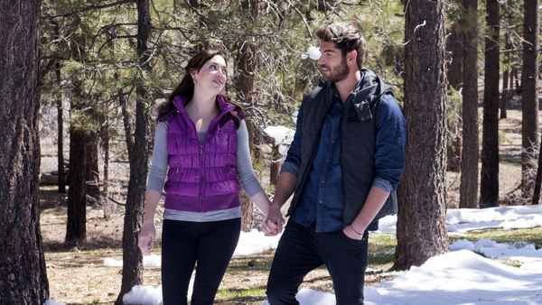 Winter Wedding Poster 5