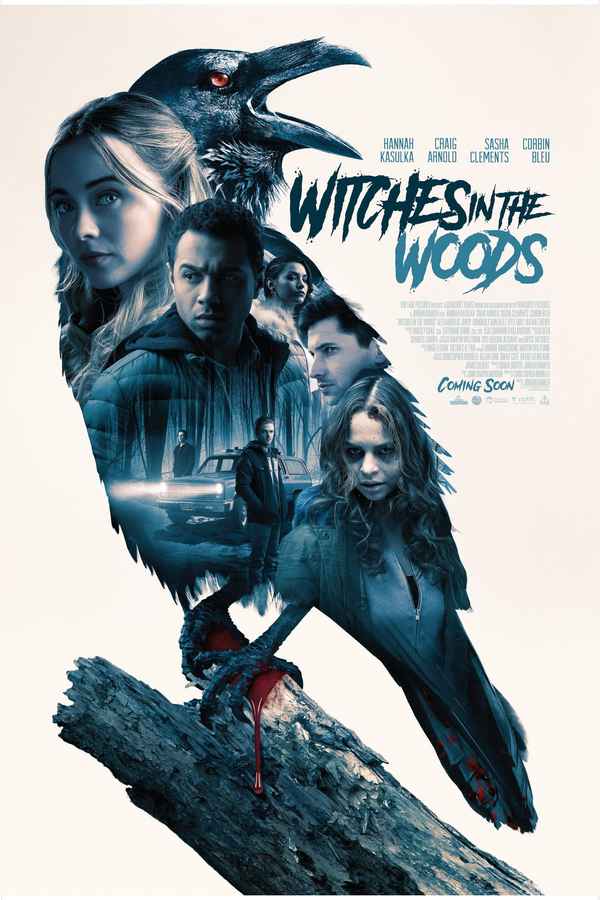 Witches in the Woods Poster 6