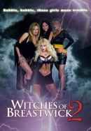 Witches of Breastwick 2 Poster 2