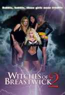 Witches of Breastwick 2 Poster 1