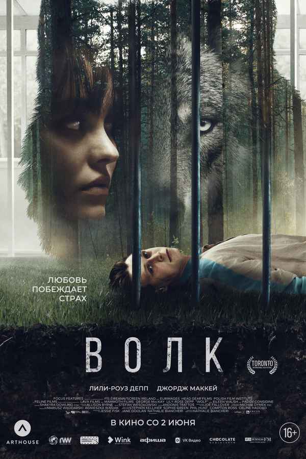 Wolf Poster 5