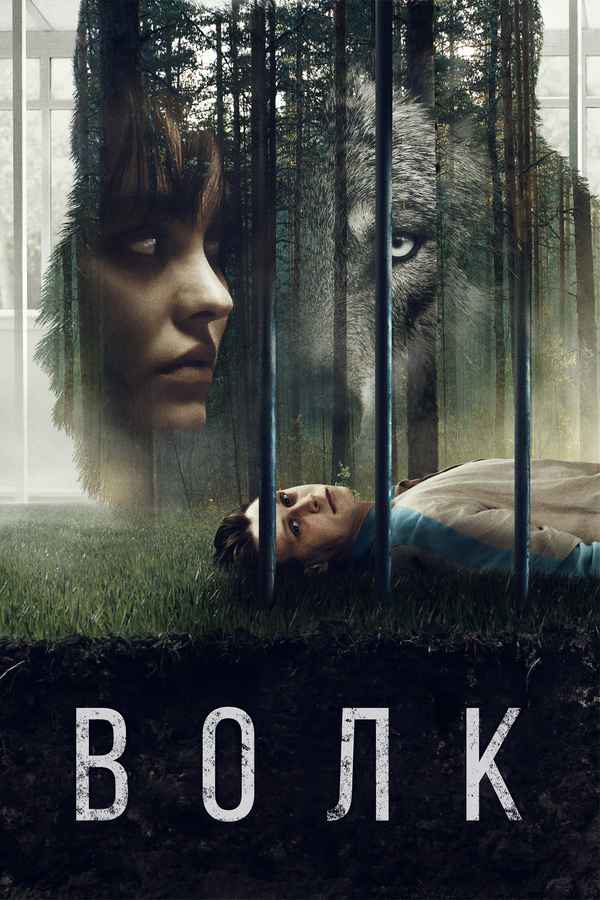 Wolf Poster 4