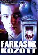 Wolves of Wall Street Poster 5