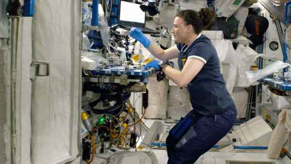 Women Of Impact - Changing The World Poster 2