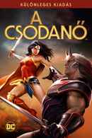 Wonder Woman Poster 5