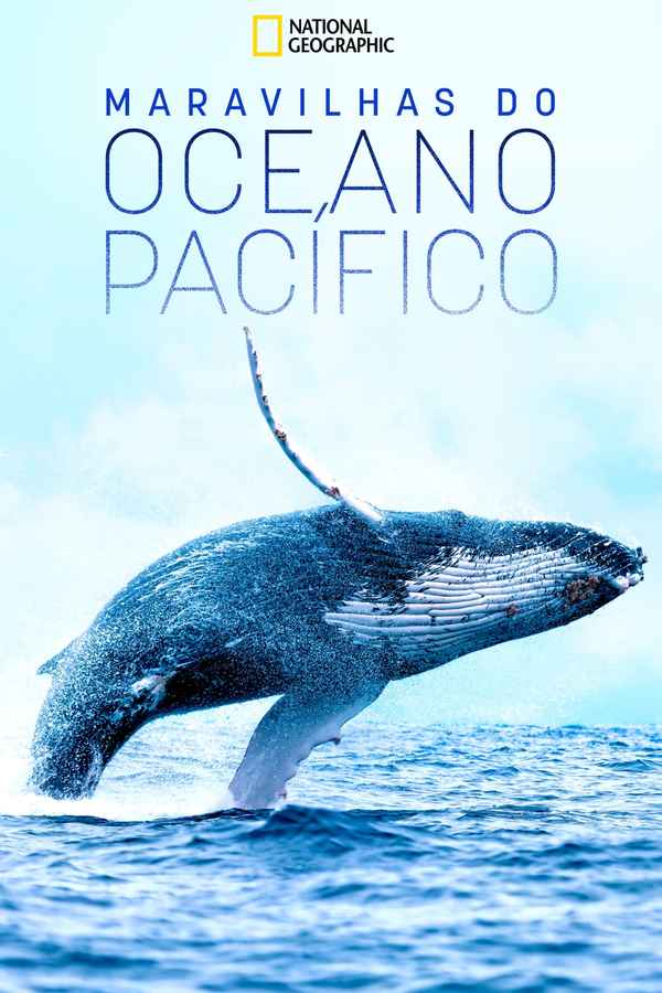 Wonders of the Ocean Poster 3