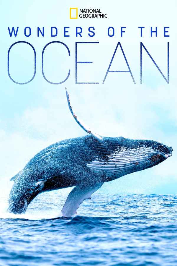 Wonders of the Ocean Poster 4