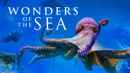 Wonders of the Sea Poster 6