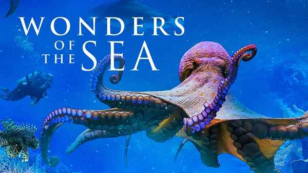 Wonders of the Sea Poster 6