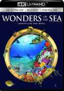 Wonders of the Sea Poster 7