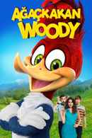 Woody Woodpecker Poster 2