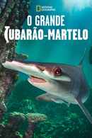 World's Biggest Hammerhead? Poster 4