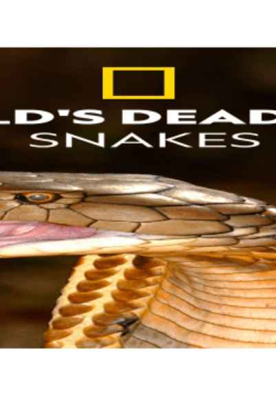 World's Deadliest Snakes