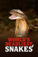 World's Deadliest Snakes Poster 3