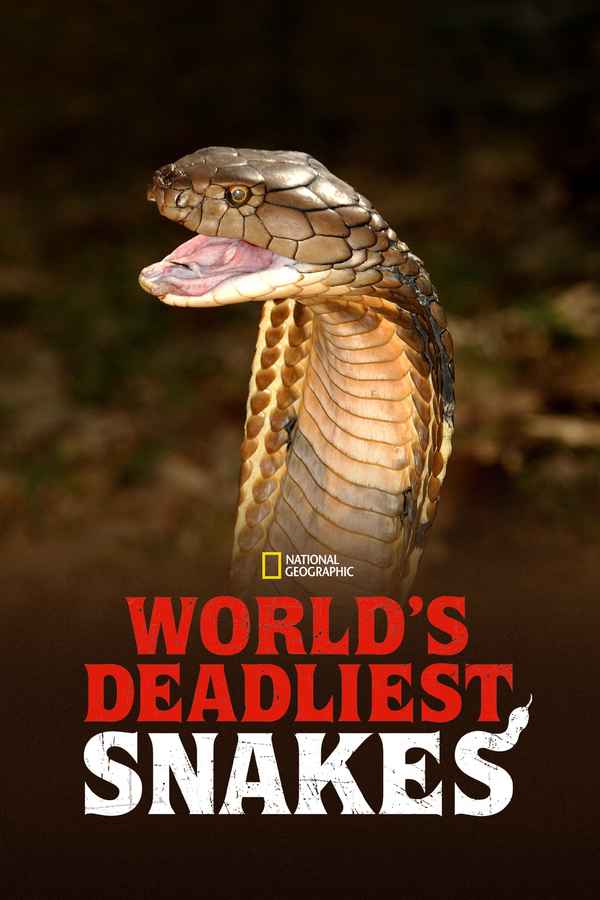 World's Deadliest Snakes Poster 3